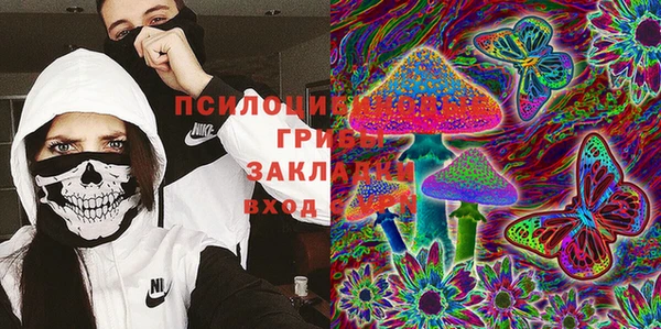ПСИЛОЦИБИНОВЫЕ ГРИБЫ Абдулино