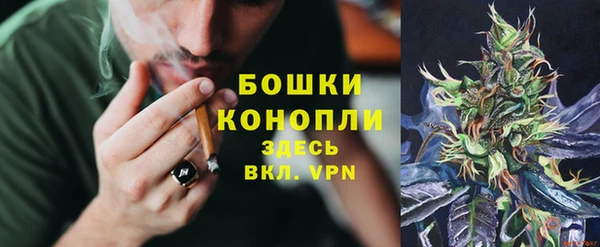ПСИЛОЦИБИНОВЫЕ ГРИБЫ Абдулино